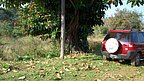aniversariogralsanmartin_078.jpg