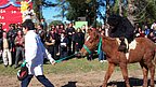 aniversariosanlorenzo_35.jpg