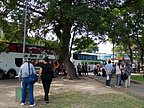 2_abril_libres_001.jpg