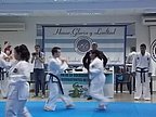 examen_taekwondo_135.jpg