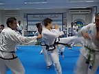 examen_taekwondo_278.jpg