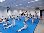 taekwon_do_010.jpg