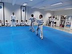 taekwon_do_087.jpg