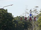 congreso-itati-009.jpg